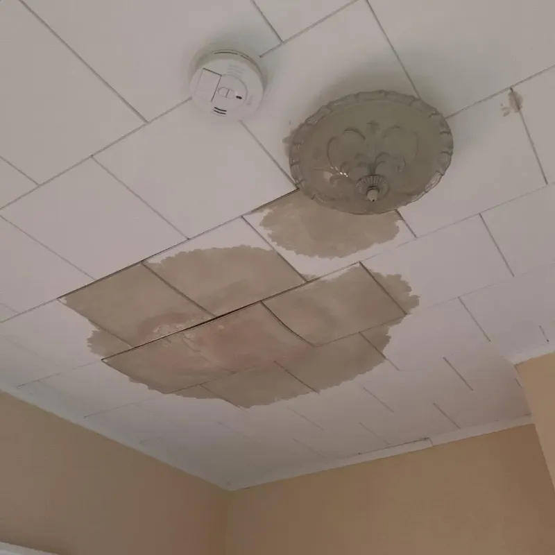 Ceiling Water Damage Repair in Claremore, OK
