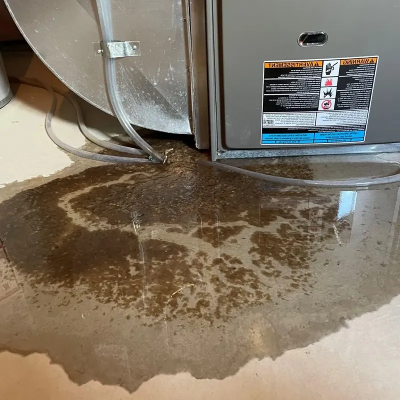 Pipe Burst and Leak Restoration in Claremore, OK